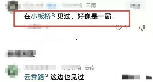 今日黑料 网络爆料平台 最新进展,揭秘网络热点事件真相！”